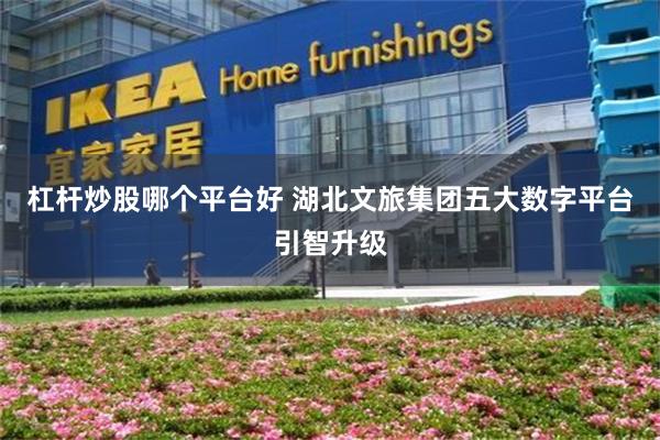 杠杆炒股哪个平台好 湖北文旅集团五大数字平台引智升级