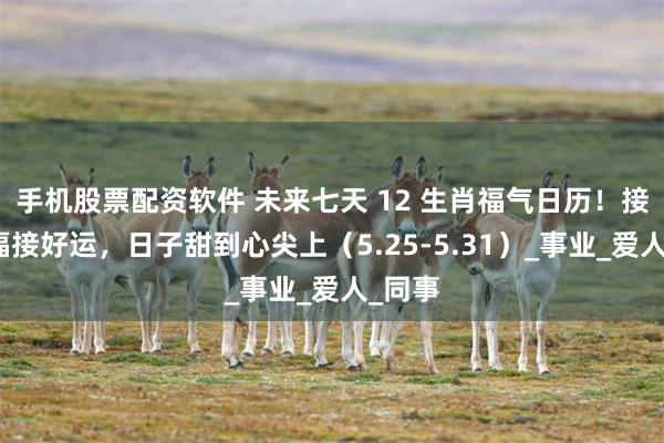 手机股票配资软件 未来七天 12 生肖福气日历！接财接福接好运，日子甜到心尖上（5.25-5.31）_事业_爱人_同事