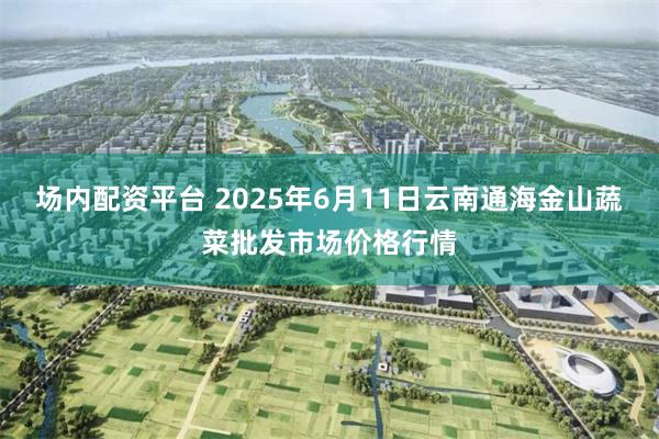 场内配资平台 2025年6月11日云南通海金山蔬菜批发市场价格行情