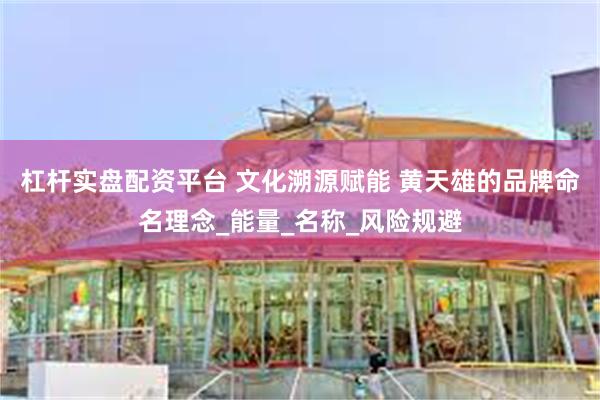 杠杆实盘配资平台 文化溯源赋能 黄天雄的品牌命名理念_能量_名称_风险规避