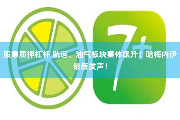 股票质押杠杆 航运、油气板块集体飙升！哈梅内伊最新发声！