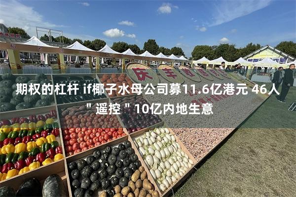 期权的杠杆 if椰子水母公司募11.6亿港元 46人＂遥控＂10亿内地生意