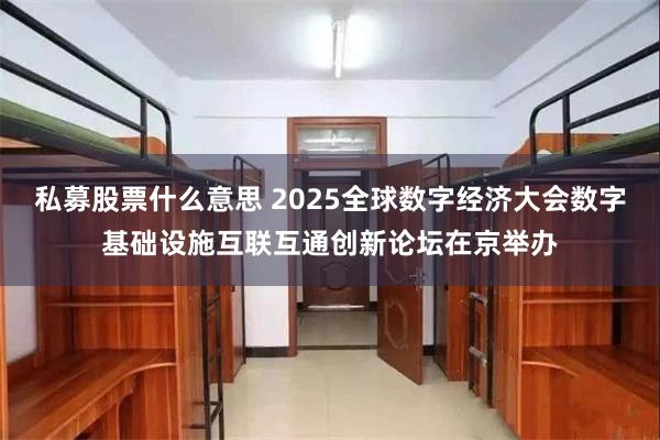 私募股票什么意思 2025全球数字经济大会数字基础设施互联互通创新论坛在京举办