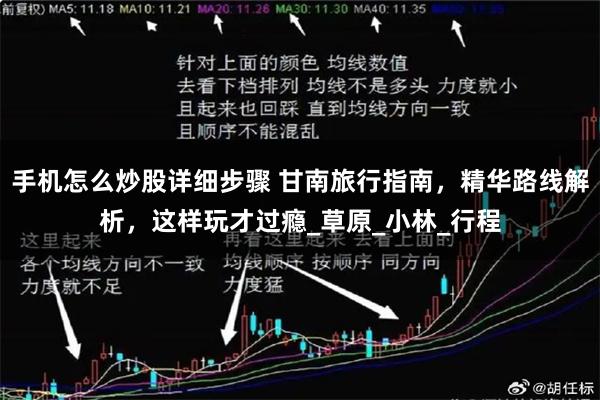 手机怎么炒股详细步骤 甘南旅行指南，精华路线解析，这样玩才过瘾_草原_小林_行程